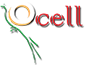 Ocell Blog Site